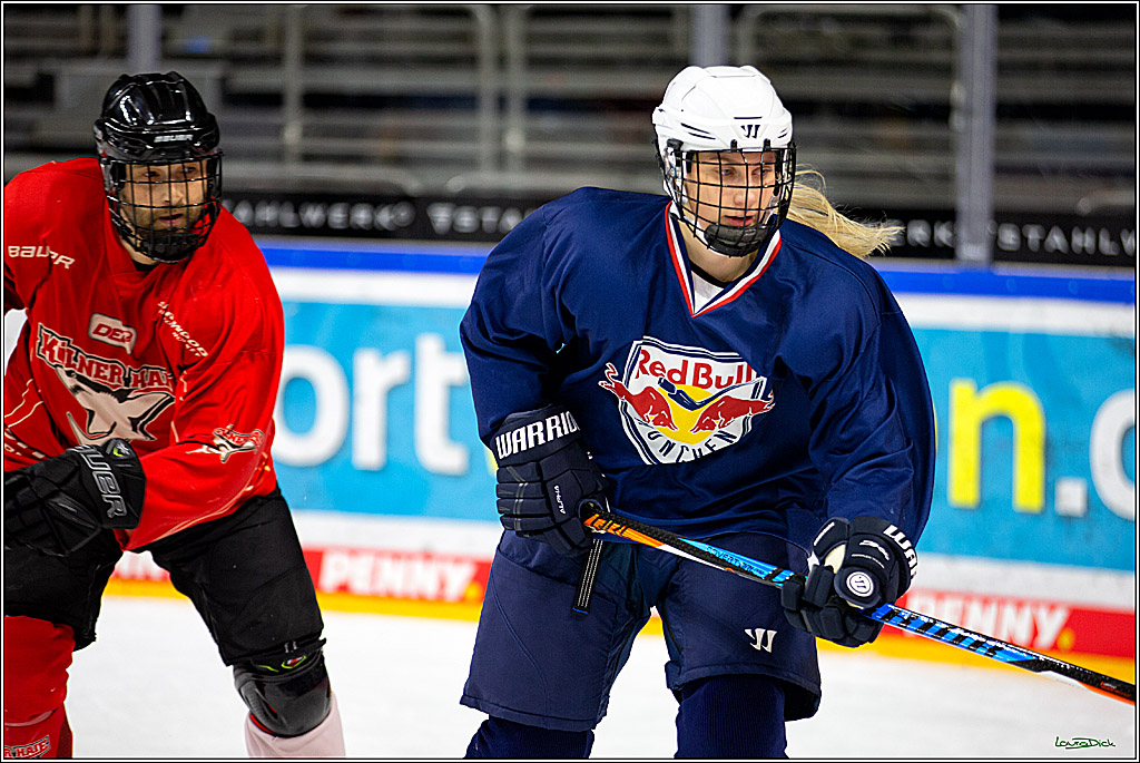 PENNY DEL; Koelner Haie- Red BUll Muenchen Sponsorenspiel; Koeln, 08.11.2022